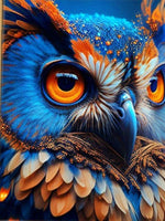 Splendors Of Owl  - Diamond Painting Kit