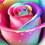 Rainbow Rose - Diamond Painting Kit