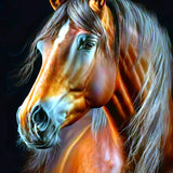 Hairy Horse  - Diamond Painting Kit