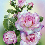 Pink Roses - Diamond Painting Kit