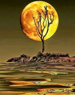 Yellow Moon - Paint By Number Kit