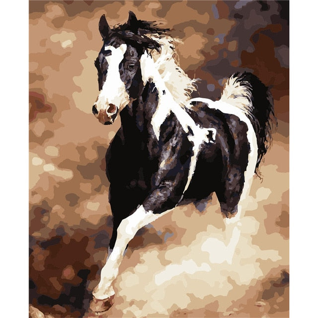 Sprinting Horse - Paint By Number Kit