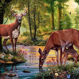 Deer Forest - Diamond Painting Kit