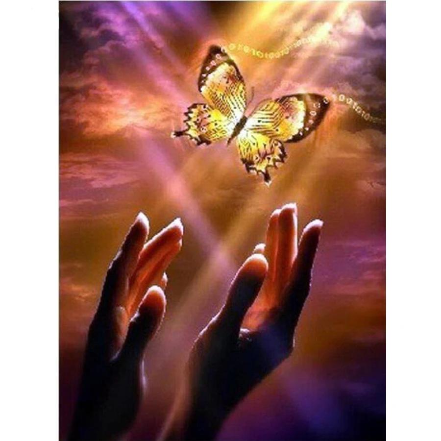 Hand butterfly diamond Painting kit