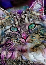 Cat Adorable - Diamond Painting Kit