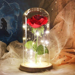 Dazzle - Rose In A Glass Dome Lamp