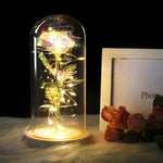 Dazzle - Rose In A Glass Dome Lamp