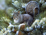 Squirrel In Snowtree- Diamond Painting Kit