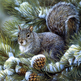 Squirrel In Snowtree- Diamond Painting Kit