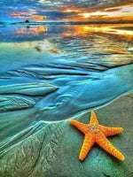 Starfish On Beach - Diamond Painting Kit