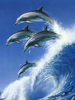Wave Jumping Dolphins - Diamond Painting Kit