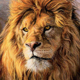 Lion Portrait - Diamond Painting Kit