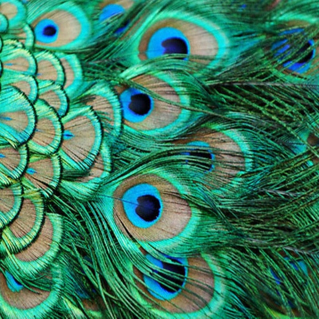 Green Peacock Feathers - Diamond Painting Kit