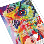 Owl Colors - Diamond Painting Kit
