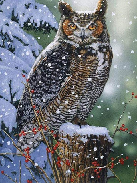 Snow Owl - Diamond Painting Kit