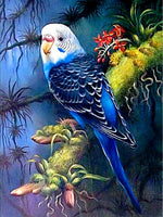 Blue Parrot - Diamond Painting Kit