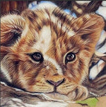 Lion Cub - Diamond Painting Kit