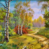 Path In The Woods - Diamond Painting Kit