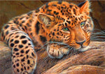 Resting Leopard  - Diamond Painting Kit