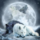 Full Wolf Wolves - Diamond Painting Kit