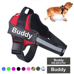 Personalized Dog Vest Harness