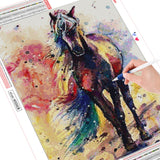 Opulent Horse - Diamond Painting Kit