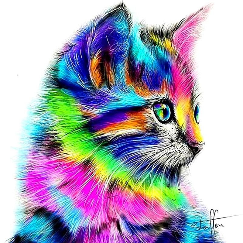 Rainbow Cat - Diamond Painting Kit