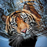 Swimming Tiger Diamond Painting Kit , Animal Diamond Painting Kit