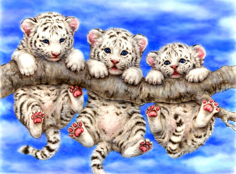 Hanging Baby Tigers - Diamond Painting Kit