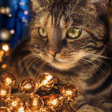 Cat Illumination - Diamond Painting Kit