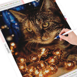 Cat Illumination - Diamond Painting Kit