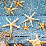 Starfish Catch - Diamond Painting Kit