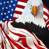 USA Eagle - Diamond Painting Kit