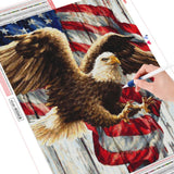 Eagle Flag - Diamond Painting Kit