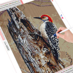 Bird On Tree Trunk - Diamond Painting Kit