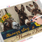 Donkey Kindness - Diamond Painting Kit