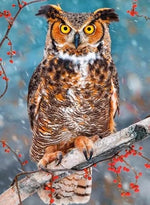 Owl Stare - Diamond Painting Kit