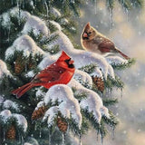 Sparrows On Snow Tree - Diamond Painting Kit
