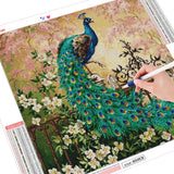 Peacock Grace - Diamond Painting Kit