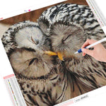 Cozy Owls - Diamond Painting Kit