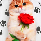 Cute Cat Rose - Diamond Painting Kit