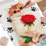 Cute Cat Rose - Diamond Painting Kit