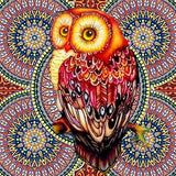 Embroidered Owl - Diamond Painting Kit