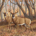 Deers In View - Diamond Painting Kit