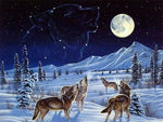Night Snow Wolf - Diamond Painting Kit