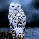 Owl Peace - Diamond Painting Kit