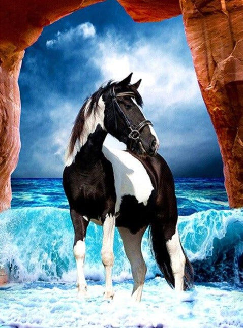 Blackwhite Horse