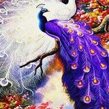 Peacock Magic - Diamond Painting Kit