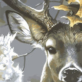 Deer Portrait - Paint By Number Kit