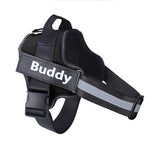 Personalized Dog Vest Harness